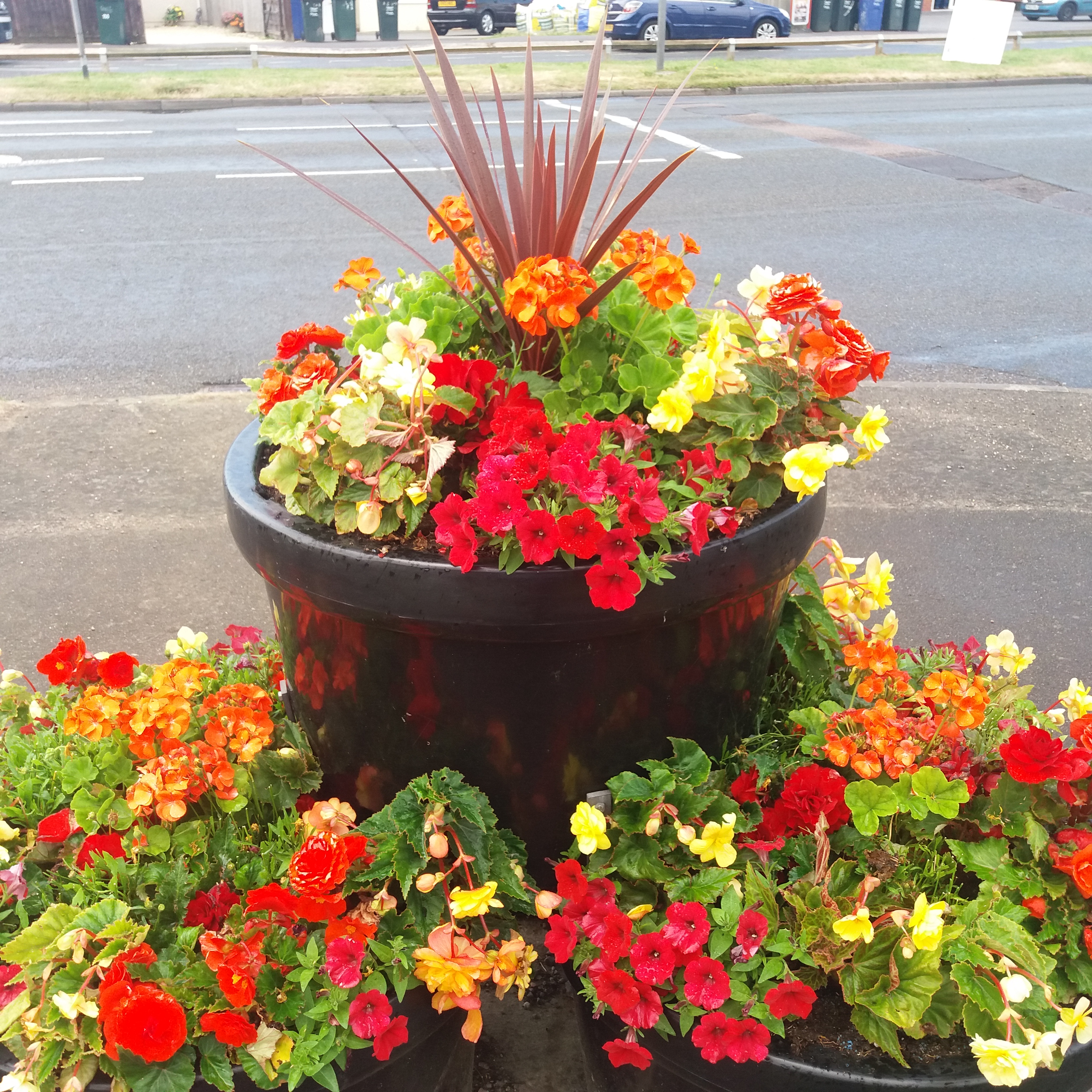 3 baskets of red and yellow flowers